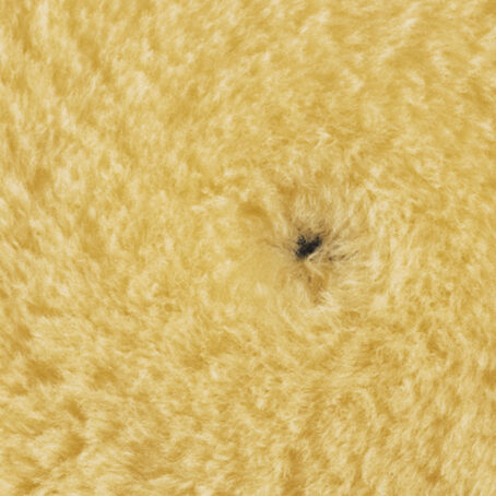 Boina de Lana Amarilla Rupes Medium 9.BW100M 80/90mm